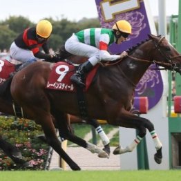 【毎日王冠】３歳のＧⅠ好走馬を実績ある古馬が迎え撃つ