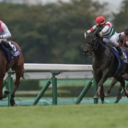 ここまで芝が傷むと暮れの開催はどうなる？