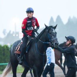 【毎日王冠】リアライズシリウス勝って大舞台へ