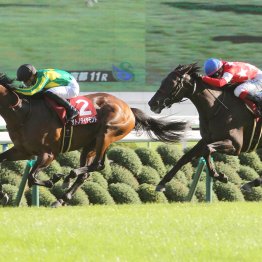 【京都大賞典】宝塚記念組を狙い撃て