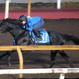 【京都大賞典】調教マル得チェック②