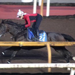 【京都大賞典】調教マル得チェック①