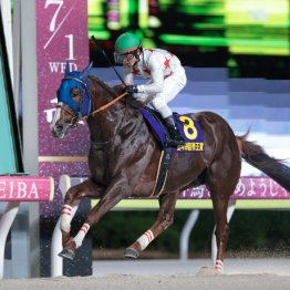 【日本テレビ盃】ミッキーファイトここから秋の大舞台へ