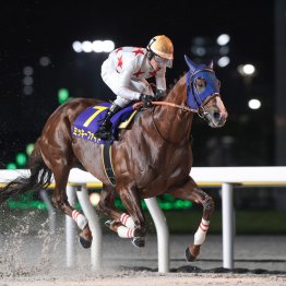 【日本テレビ盃】ミッキーファイト、厩舎の偉大な先輩に並ぶ重賞７勝目