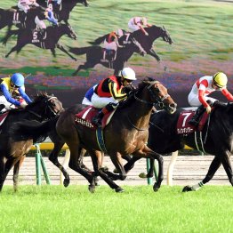 【毎日王冠】データ作戦　１番人気と２番人気で明暗が分かれる！？