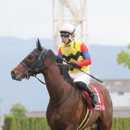 【毎日王冠】ドラゴンブースト一発あり