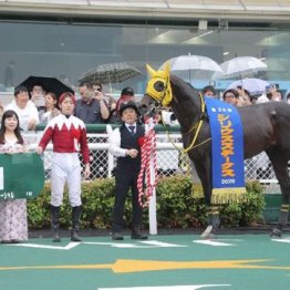 【飯島の土曜競馬コラム・グリーンチャンネルＣ】