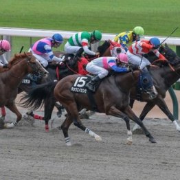 【木津の土曜競馬コラム・東京１２Ｒ】