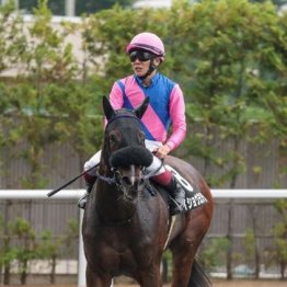 【橘の土曜競馬コラム・オパールＳ】
