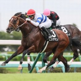 【東京本紙・外山の土曜東京10Ｒ】	