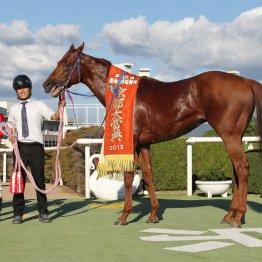 2013年京都大賞典覇者ヒットザターゲット　青森・三本木農業恵拓高校に繋養