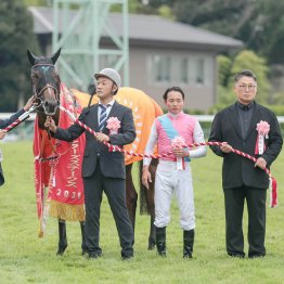 地方で拡大　馬の購入費を補助するオイシイ制度