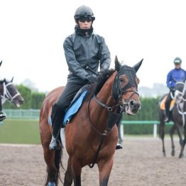 【木津の日曜競馬コラム・毎日王冠】