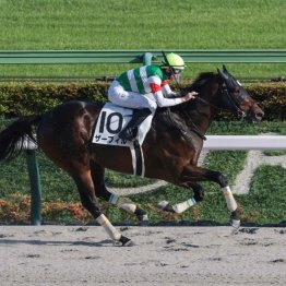 【レスキュー隊の日曜競馬コラム・東京12Ｒ】