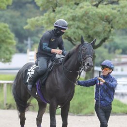 【日曜京都５Ｒ・２歳新馬】ジュンキング　牡・友道康夫厩舎