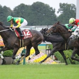 【京都大賞典】エコロディノス＝田口が重賞初Ｖ