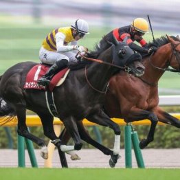 【毎日王冠】セイウンハーデスが重賞３勝目