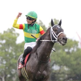 日本馬が凱旋門賞を勝ち切るのに足りない欧州由来の血