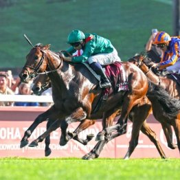 【凱旋門賞】勝ち馬ダリズ以下、⑤着までの関係者コメント（ネットオリジナル）