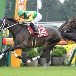 【京都大賞典】エコロディノス覚醒のきっかけになるか