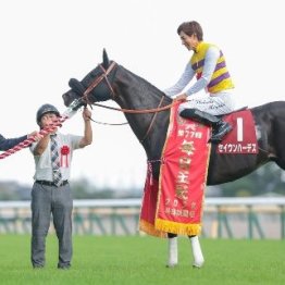 【毎日王冠】レース後の談話（ネットオリジナルを含む）
