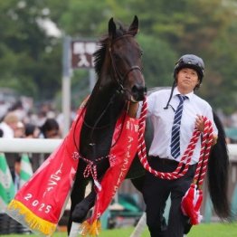 【アイルランドＴ】カムニャック、クイーンズウォークなど実力馬が揃う