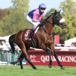 今年も日本馬２頭が凱旋門賞に挑みましたが…