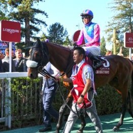 今年も日本馬２頭が凱旋門賞に挑みましたが…