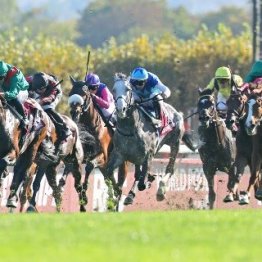 今年も日本馬２頭が凱旋門賞に挑みましたが…