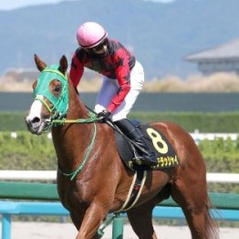 【ジャパンダートクラシック】イッテラッシャイ４連勝だ