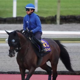 【アイルランドＴ】カムニャック好発進