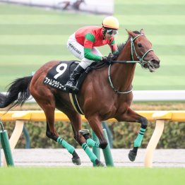 古馬ＧⅡを隠してしまった芝千八２鞍