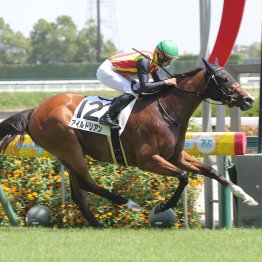 【田中の土曜競馬コラム・宇治川特別】