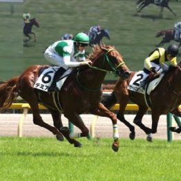 【木津の土曜競馬コラム・サウジアラビアロイヤルＣ】