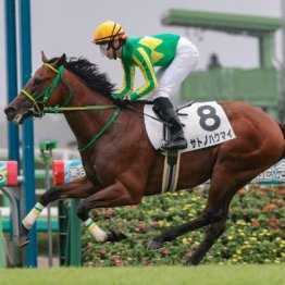 【大谷の土曜競馬コラム・サウジアラビアロイヤルＣ】