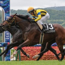 【橘の日曜競馬コラム・アイルランドＴ】