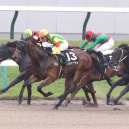 【東京本紙・外山の日曜東京10Ｒ】