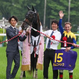 【アイルランドＴ】カムニャック鉄板　クイーンズウォークとの３連単12点だ