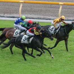 【飯島の月曜競馬コラム・東京９Ｒ】