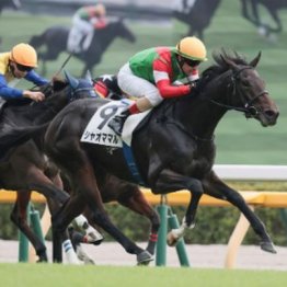 【木津の月曜競馬コラム・東京９Ｒ】