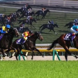【武田の月曜競馬コラム・スワンＳ】