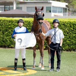 【レスキュー隊の月曜競馬コラム・東京12Ｒ】	