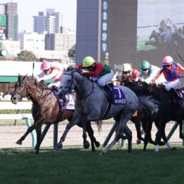 【東京本紙・外山の月曜東京10Ｒ】