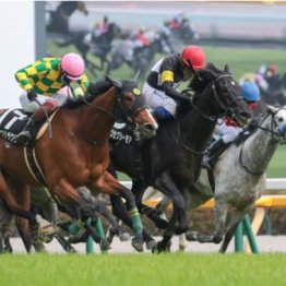 【東京本紙・外山の月曜東京11Ｒ】