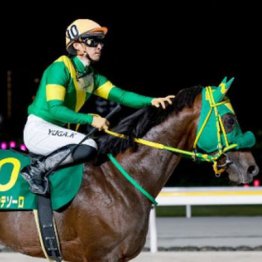 【地方本紙・武田のマイルチャンピオンシップ南部杯】