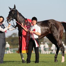 オークス馬カムニャックＶ　今年も中距離型が強かったアイルランドＴ