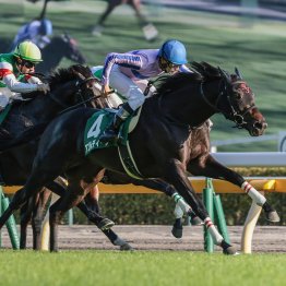 オークス馬カムニャックＶ　今年も中距離型が強かったアイルランドＴ