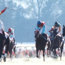 ひと昔前は外国産馬が席巻も、今はメイド・イン・ジャパンの時代