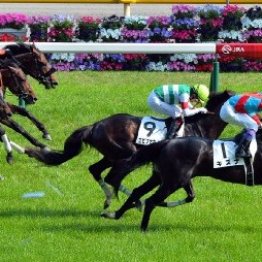 ひと昔前は外国産馬が席巻も、今はメイド・イン・ジャパンの時代
