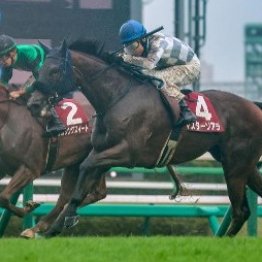 【秋華賞】東西の前哨戦組は魅力あり